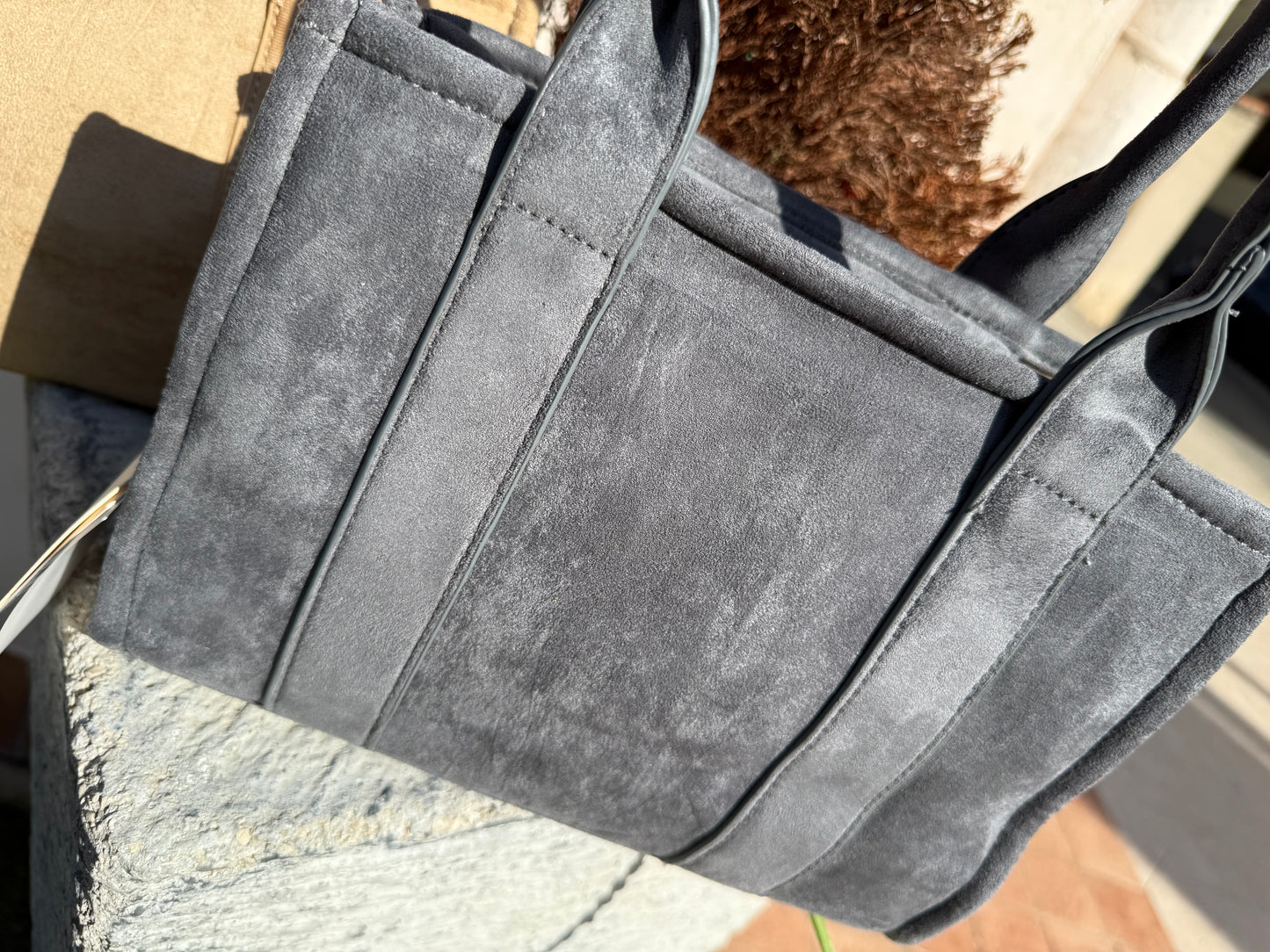 Camelia misura piccina