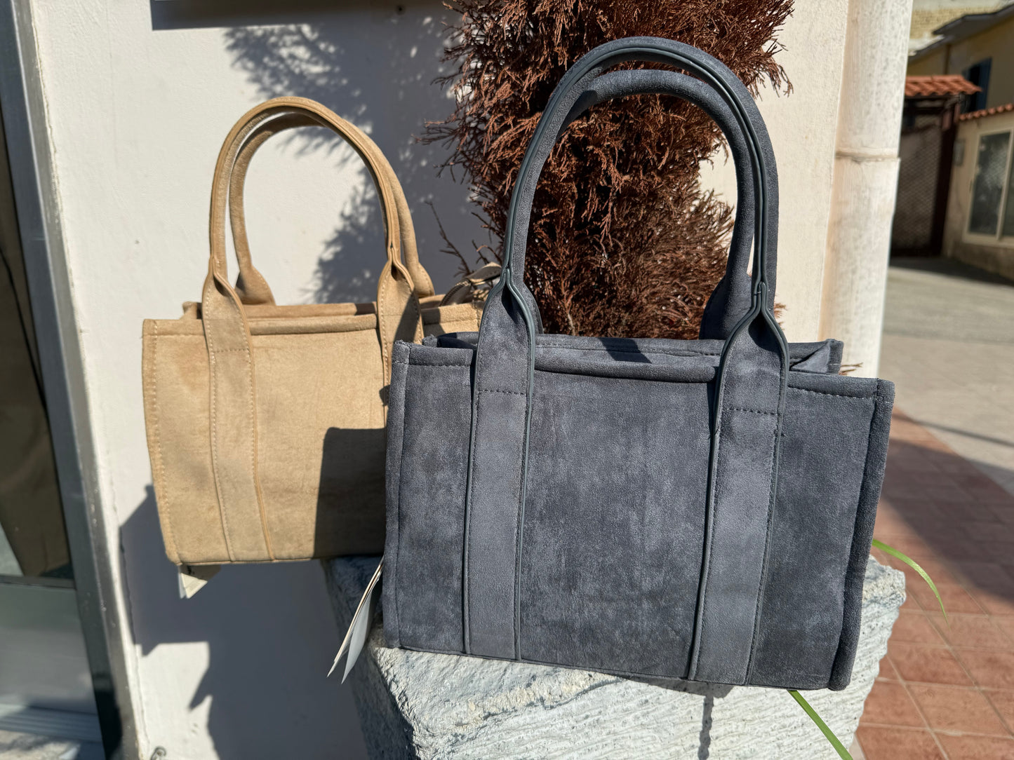 Camelia misura piccina